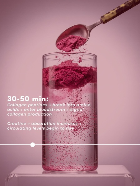 A high-contrast visual showing collagen powder being poured into water, paired with a timeline explaining the molecular breakdown and absorption process.